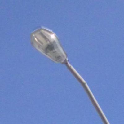 Dsc 0865