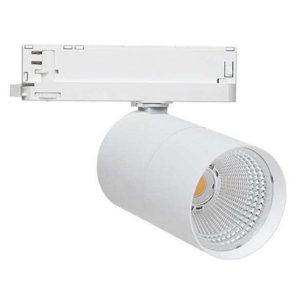 MOTUS ST 14