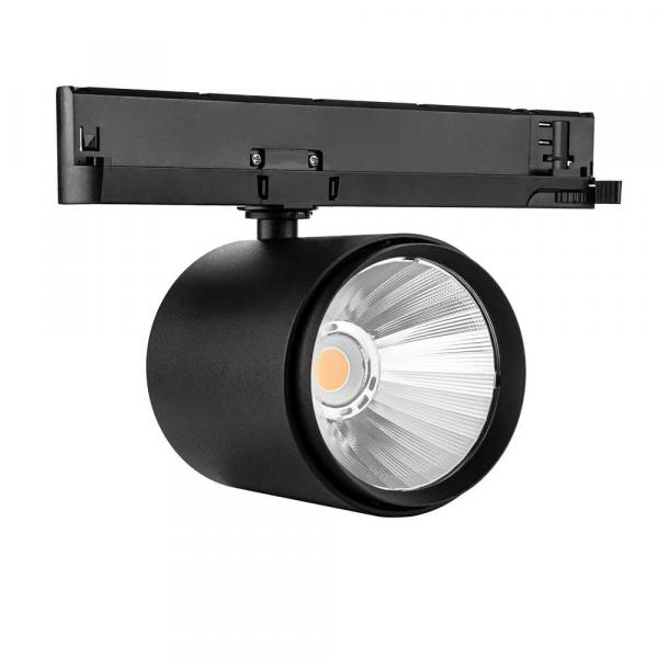 MOTUS ST 50